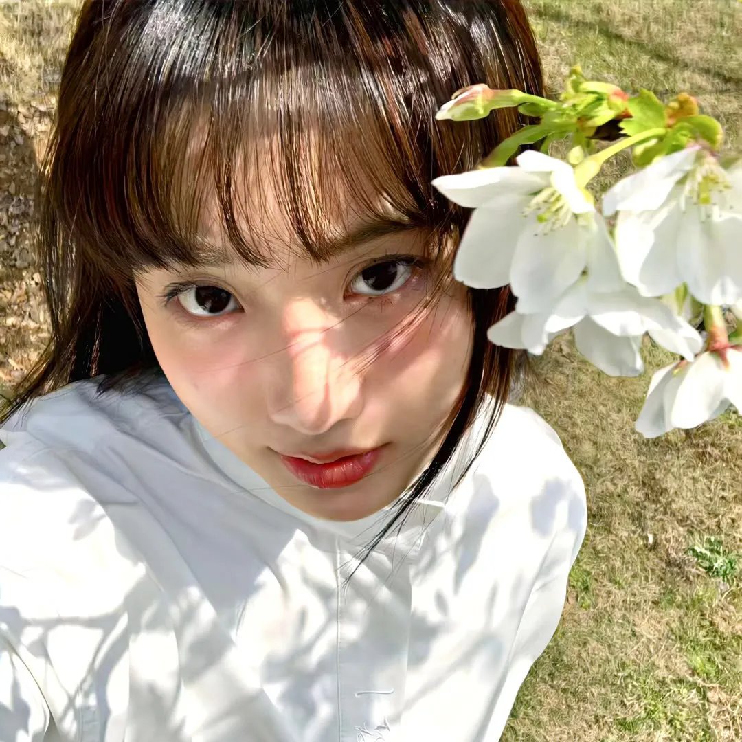 暴走狂花