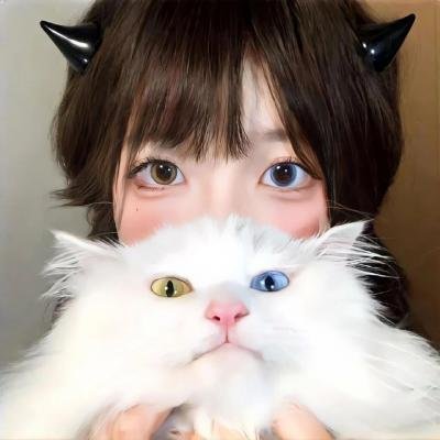 荣誉曙光